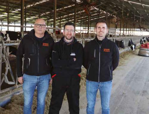 Alla Vanzetti Holstein riscende in campo Sugarade
