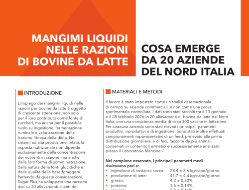 MANGIMI LIQUIDI NELLE RAZIONI DI BOVINE DA LATTE
