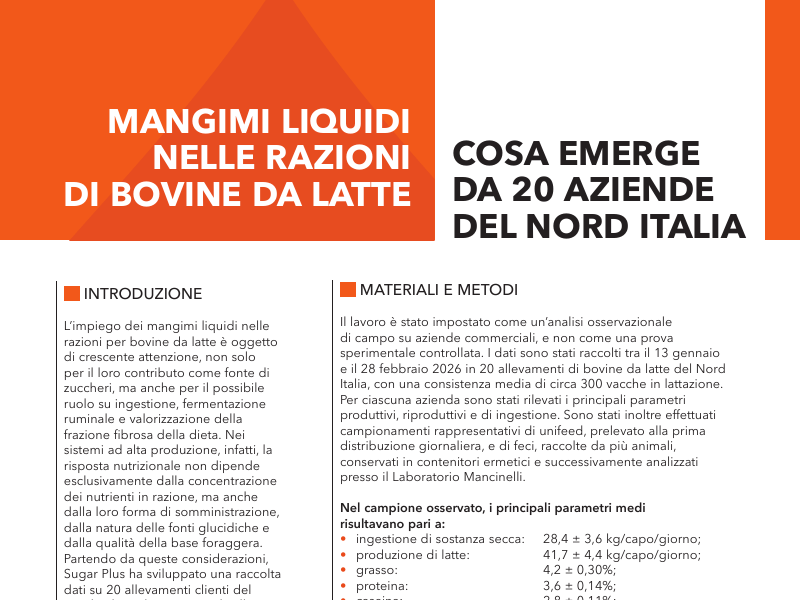 Infographic header: orange panel with 'Mangimi liquidi nelle razioni di bovine da latte' and white panel 'Cosa emerge da 20 aziende del Nord Italia'.